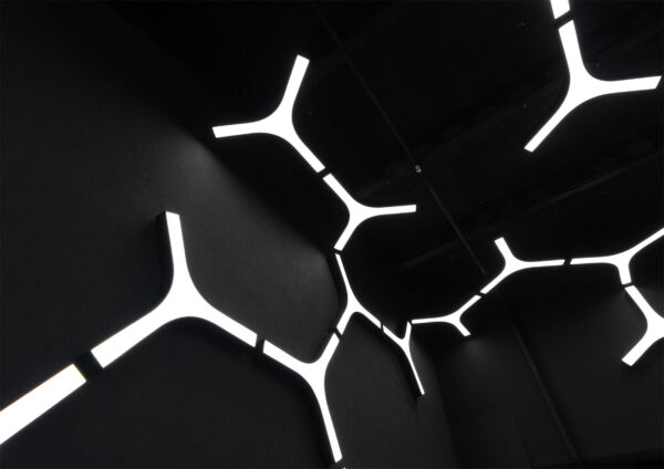 HIVE - Image 4