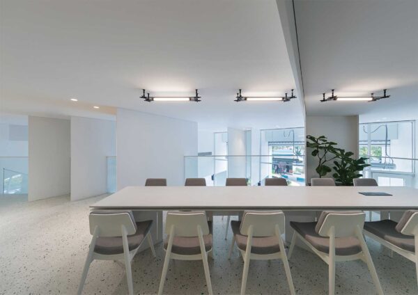 LINEA - Image 4